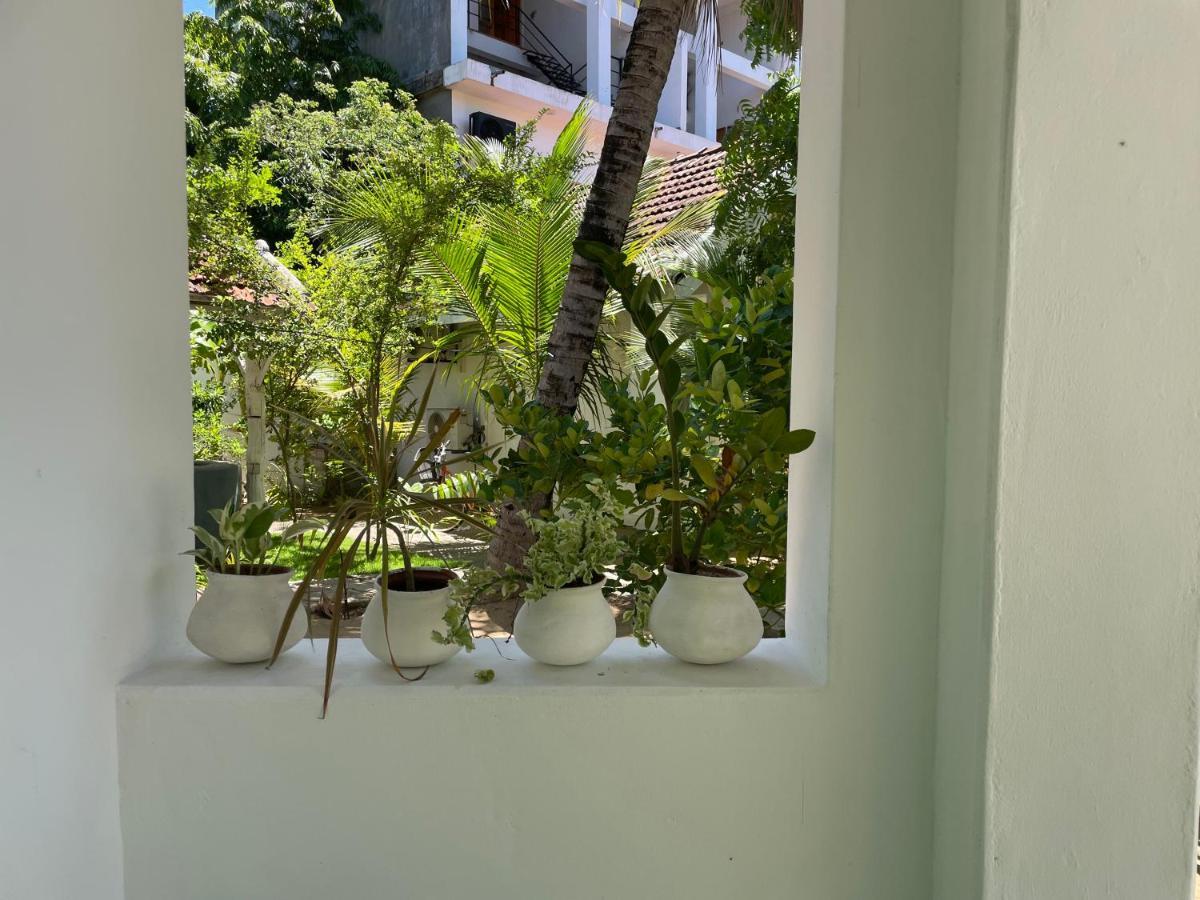 Hotel Banana Surf House Arugam Bay Exteriér fotografie