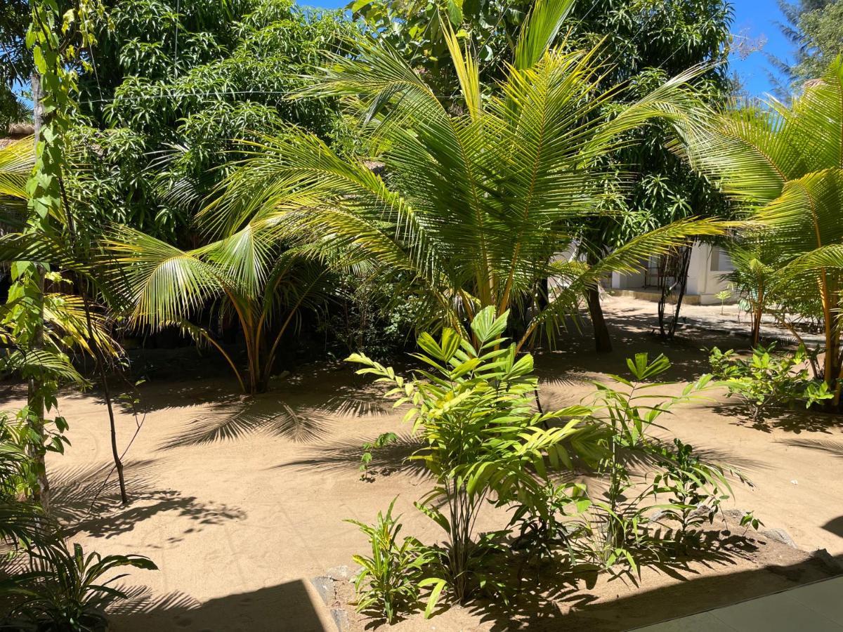 Hotel Banana Surf House Arugam Bay Exteriér fotografie